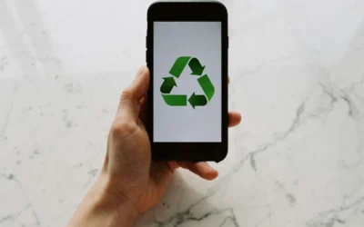 tree transition sustainability logo - photo par ready made